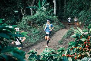 BIB: 
                            <button type="button" onclick="openModal(25801337)" class="btn btn-primary btn-sm float-right btn-popup" data-toggle="modal" data-target=".modal-high-quality">
                        <i class="fas fa-shopping-cart"></i> Add to Cart
                    </button>
                                            <button type="button" onclick="isThisMe(25801337, true)" class="btn btn-success btn-sm float-right btn-popup btn-isme hidden" data-toggle="tooltip" data-placement="bottom" title="นี่คือรูปของคุณใช่ไหม คลิกที่นี่เพื่อเอาเข้าอัลบั้ม">
                        <i class="fas fa-plus"></i> Add to album
                    </button>
                    <button type="button" onclick="isThisMe(25801337, false)" class="btn btn-warning btn-sm float-right btn-popup btn-isnotme hidden">
                        <i class="fas fa-ban"></i> Remove from album
                    </button>